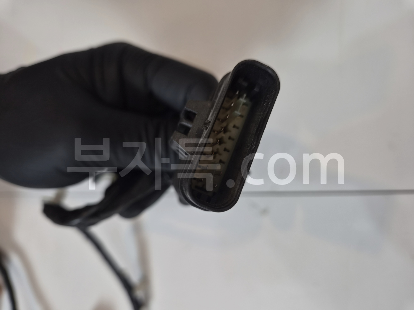 MbN6wHNp50ZTQtqIfSffXH019suRxoXd69zIcWR5Zr.jpg